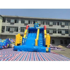 Commercial Inflatable Water Slides Robot Theme Outdoor With Printing