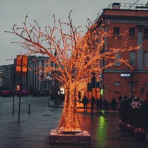 30m Length Green Cable Red LED Christmas Tree Lights PVC 50Hz