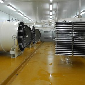 Multifunctional Automatic 500kg Freeze Drying Machine