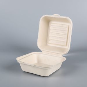 Biodegradable Food Container Burger Box Cake Packaging Food & Beverage Packaging