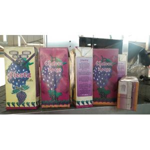 UV Aseptic Carton Filling Machine Milk Packaging 2000 BPH Machine