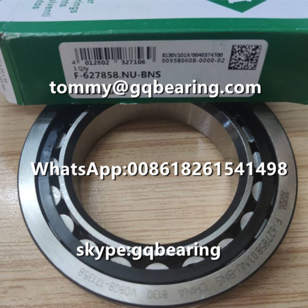 VW AG INA F-627858.03.NU-BNS Cylindrical Roller Bearing Chrome Steel Material