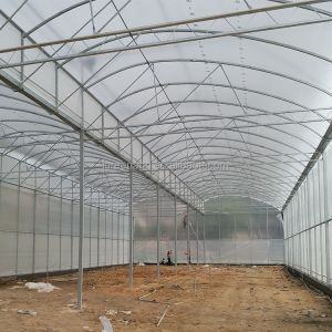 IGreen Tunnel Strawberry Greenhouses PE Greenhouse for Vegetable and Flower