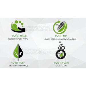 100% Biodegradable and compostable sugarcane pulp packaging disposable paper