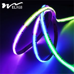 840Leds/M 24V IP65 Waterproof Flexible RGB LED Strip Light with Voice Control