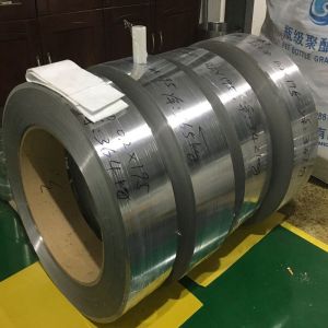 AISI 304 Stainless Steel Coil Width 100-2000mm Mill Edge