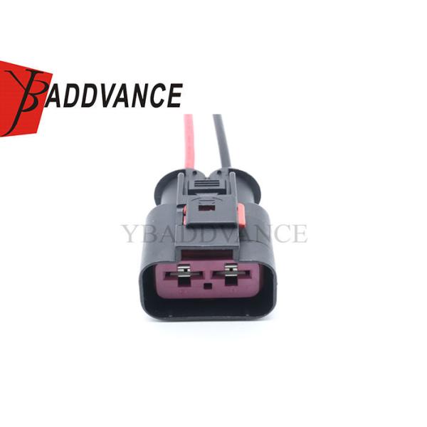 F064200 33500397 9.5mm Series Female 2 Pin Connector Wiring Harness For Auto