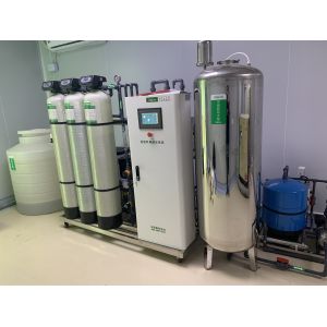 1000LPH Commercial RO EDI Purified Water System Electrodeionization Unit