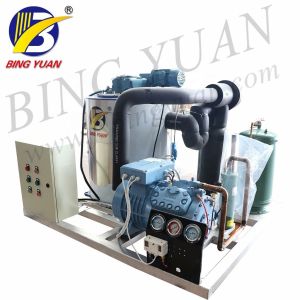2mm 9 Ton R404A Snow Flake Ice Making Machine