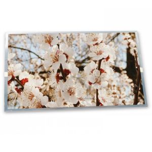 China LTP500GV-F01 Online One-stop Shopping 5 Inch Industrial Control Lcd Display 480*640 in Stock Lcd Screen Module on sale