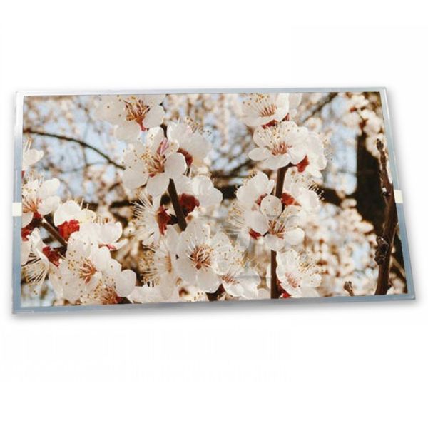 LTD104C11F Online One-stop Shopping 10.4 Inch Industrial Control Lcd Display 640