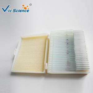 Quality Beginners Microscope Glass Slides 12 Pcs Prepared Microscope Slides Set for sale