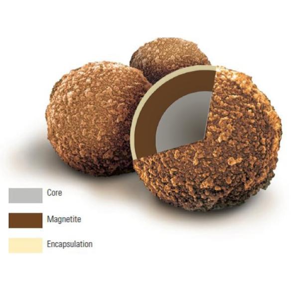 Buy Pet animal in vitro diagnostics dog detection reagent single test monotest Total Thyroxine T4 Thyroid in POCT analyzer at wholesale prices