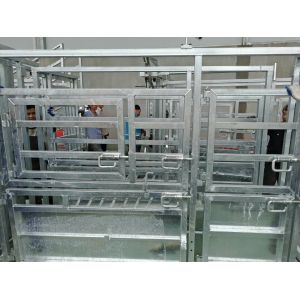 Australia standard galvanized cattle panel fence Cattle Crush,Cattle Chute