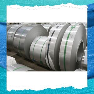 Precision Cold Rolled Stainless Steel Strip For Precision Applications