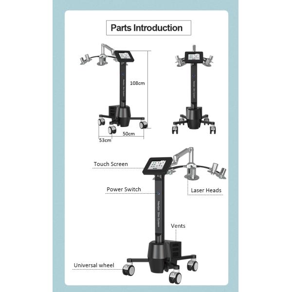 532nm Wavelengths 6d Laser Body Shaping Equipment Weight Loss Beauty Machine Non Invasive
