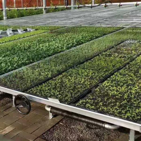 Buy Silver Custom Greenhouse Benches Movable Seedling Bed Rolling Breeding at wholesale prices