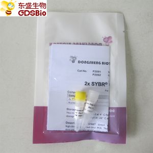 Quality SYBR Green qPCR Mix high ROX+ for ABI DNA real time PCR 5ml for sale