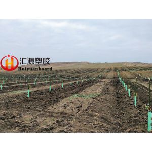 Strong Durable Square Corrugated Plastic Tree Guards