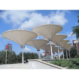 Space Frame Structure Tensile Membrane Structure for Modern Stadium Roof Design