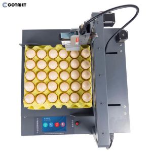 300DPI -600DPI Egg Coding Machine / Egg Inkjet Printer With Printing On Eggs And