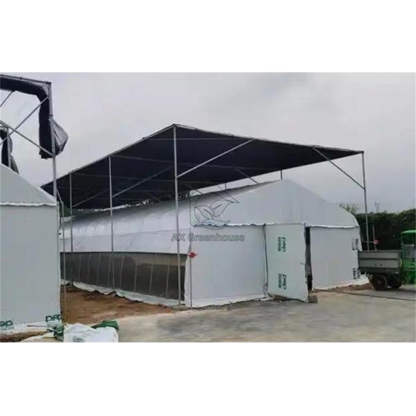 film mushroom greenhouse