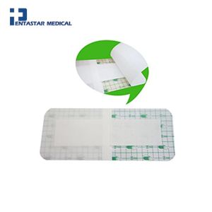 Adhesive Wound Dressing Waterproof Bath Posts Self-Paste Transparent Fixer