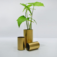 Easy-Maintenance High-Rust-Resistance Stainless Steel Flowerpot