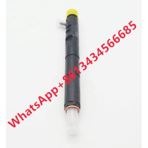 Quality Ejbr04101d Fuel Injector Ejbr02101z 8200049876 166003978r Common Rail for sale