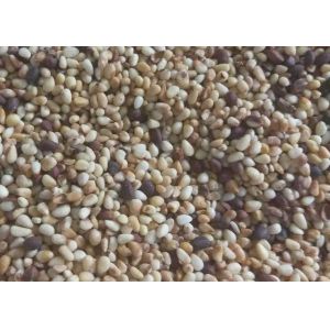 Agriculture Machine Pine Nut Kernel Color Sorter Nuts Sorting Machine