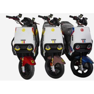 Quality LY-ML300Electric motorcycle for sale