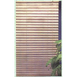 Contemporary Windows Shades Blinds Beige with Pleated Venetian style