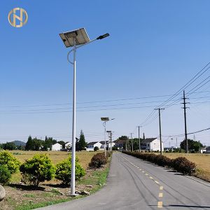 Quality 3-12M Octagonal Shape Road Lamp Post Q345B Double Arm High Durability for sale