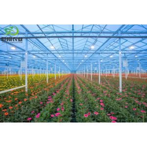 Outdoor Shading Glasshouse for Humidity Control in Commercial Greenhouse