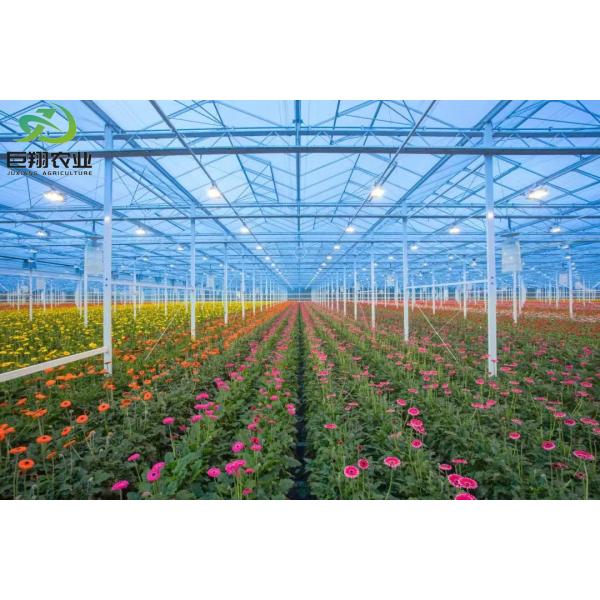 Outdoor Shading Glasshouse for Humidity Control in Commercial Greenhouse