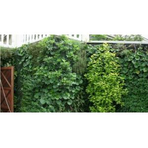 Artificial Plant Wall,Glass/Flower/Leaves Wall