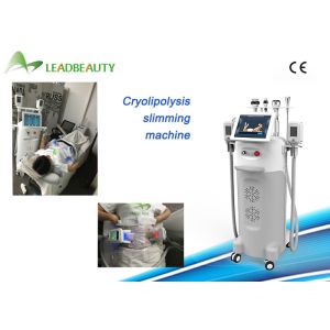 China 2000W 5 Handles Vertical Cryolipolysis Slimming Machine With RF and Cavitation handle on sale