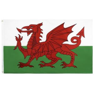 SGS Square Base England Wales Rectangle Banner Flags
