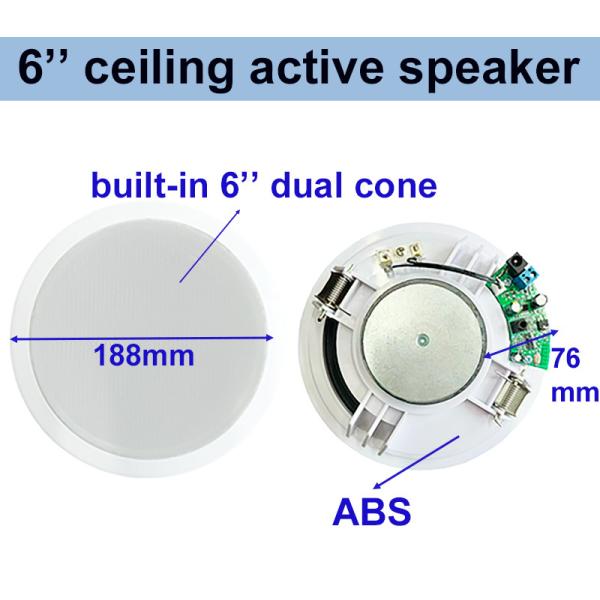 Oval 6 Inch Ceiling Active Speaker ABS Dual Cone 4×10W OEM ODM