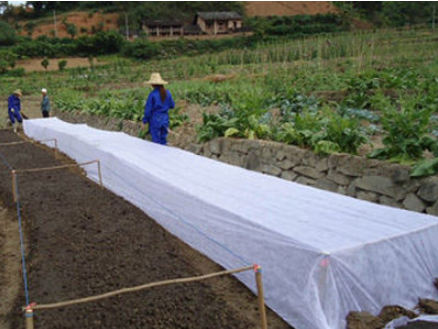 PP Non Woven Fabric 30g-300g Essential Material for Road Construction and Industrial