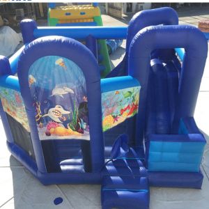 EN71 Backyard Inflatable Princess Bounce House With Slide