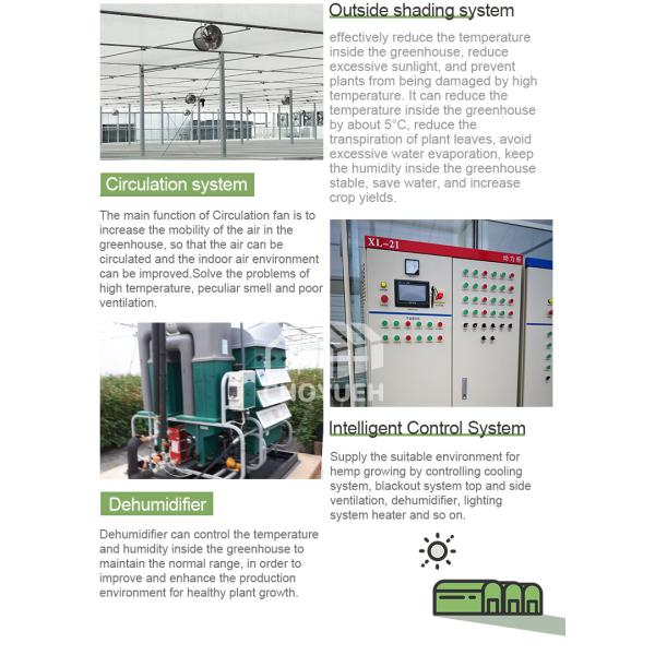 Hot Galvanzied Steel Pipe Agricultural Venlo Glasshouse Turnkey Project