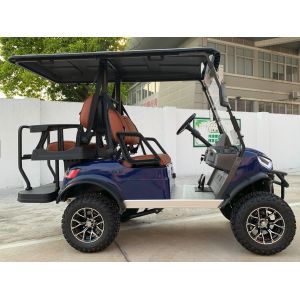 Equipped with Electromagnetic Parking System Private Mold Electric Lifted Golf