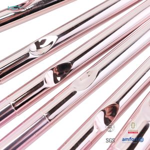 Plastic Handle Cosmetic 10pcs Face Makeup Brush Set Private Label