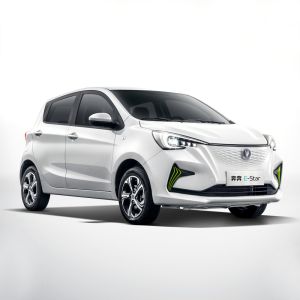Quality Elecric Fuel Type Changan BenBen E-Star Energy Electric Car with Slow Charge time 5h for sale