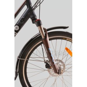 250W 36V Urban City Electric Bike 7.8Ah Samsung Cells