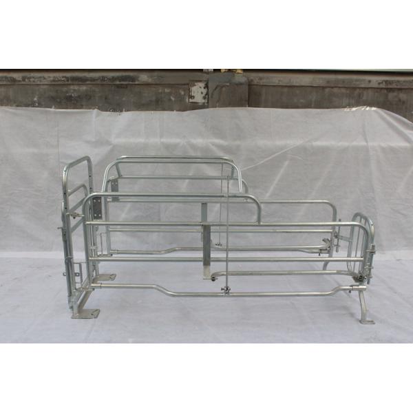 Easy To Clean Pig Farrowing Crate Ensures Warm / Draught - Free Enviroment