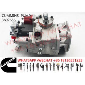 3892658 NTA855 3095502 3895537 Diesel Engine Fuel Pump
