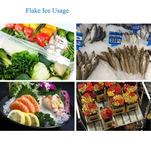 5 Tons Per Day Fresh Water Flake Ice Machine