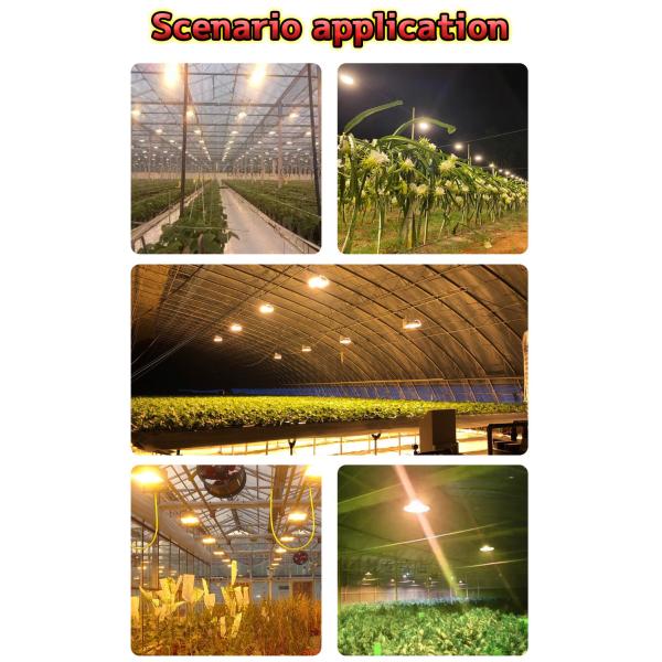 High Lumen High Power Cob LED Lamp Beads High Conductivity Aluminum